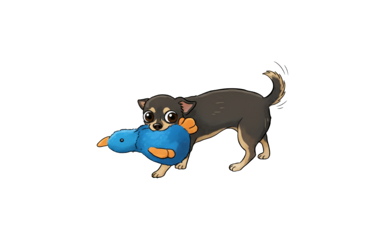chihuahua v2